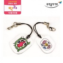 과학 실험 동물 식물 세포 모형 고리 6인 과일전지용판 과학실험용 과학수업 교육완구 조립키트 실험세트