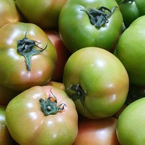 프리미엄 완숙 찰토마토 5kg 10kg, 중과5kg, 1개