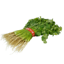 언니네야채 고수 1단 (향채) 고수풀