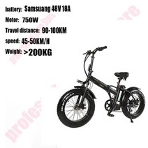 자전거사이트 트랙 20inch 스노우 타이어 48v 전기 자전거 750w 모터, 협력사, 2 PCS 배터리, 삼성48V18A1000W