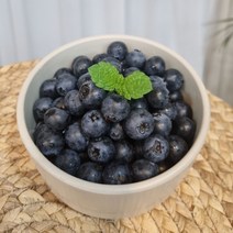 방씨아들 국내산 수입산 생과 블루베리 생 블루베리 왕특(16-18mm), 4팩