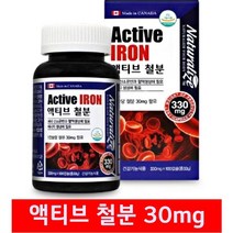 철분 임산부 수유부 임신 출산후 철분제 산모 영양제 여성 남성 철분부족 어지러움에 도움