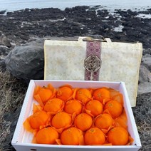 탠저린포유 한라봉 5KG 가정 레드향 귤 황금향 천혜향 레몬청만들기 타이벡감귤 감귤 타이백감귤 제주레드향, 1개