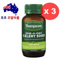 톰슨 셀러리 5000mg 60캡슐 Celery 3개 호주코알라몰 호주직구, 3병