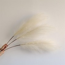 대형 화분 39 인치 팜파스 잔디 크고 풍성한 꽃다발 웨딩 파티 홈 인테리어 식물 큰 100cm 리드 보헤미안, 06 6-beige_01 1-pcs