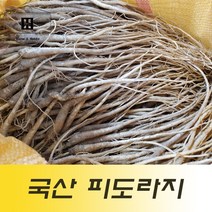 국산도라지 1kg 흙도라지 피도라지 껍질도라지, 1000g, 1개