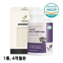 눈엔 차즈기 눈영양제 프리미엄 국산 차즈기추출물 차조기 차지기 빌베리 자소엽 효능 식약처 해썹 인증, 프리미엄120정x1통, 1