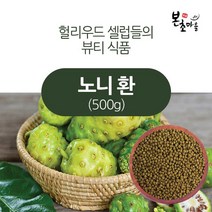 [본초마을] 노니환 500g 노니열매 노니가루 노니정환 노니100% 건강환, 1개