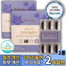 뉴질랜드 저온추출 감마리놀렌산 보라지유GLA 보라지종자유 식물성 캡슐, 60정, 2개