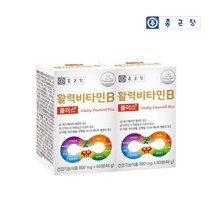 지칠때 힘 체력 없을때 활력 에너지 대사 조혈 에 좋은 고농축 신경 비콤 비타민B 복합체 티아민 리보플라민 영양제, 2BOX(4개월분)
