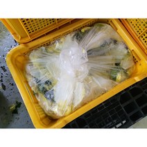 제주 담음 국내산 우거지 냉동 얼갈이 우거지 국내산 우거지 10Kg, 1개