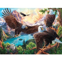 보석십자수 사각 원형 이글 독수리 하늘 인테리어 수능 선물 자가격리 보석자수, 전체 라운드 45X60cm, 6354