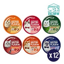 동원 뉴트리플랜 6종혼합 12개