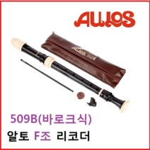 아울로스 알토 509B