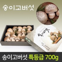 여주 특산품 송이고 버섯 선물세트 700g 국내산
