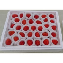 1kg 유산균딸기 무농약 수경재배 딸기 1kg 35과내외, 1kg35과내외