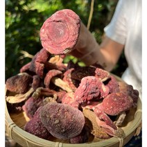 정통 부티크 운남 야생 붉은 버섯 건조 제품 100g, 500g