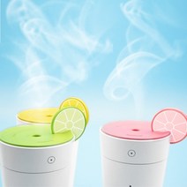 미니 마카롱 상큼 톡톡 휴대용 USB 가습기, 모델명/품번