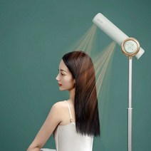 스탠드 드라이기 핸즈프리 미용실 머리말리는기계, 민트 그린