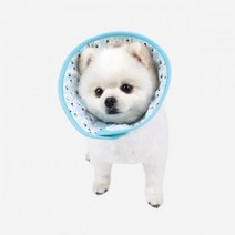 수술상처 보호용 포메 강아지넥카라 댕댕이 개린이 시골개 입질훈련 행동교정 애견, 단일사이즈