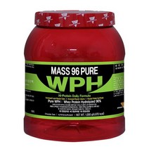 매스96 프로틴 퓨어 WPH 초코맛 1kg/단백질 보충제, 1개, 없음