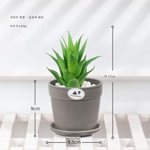 Stevevivian 즙이 많은 식물의 공장 직접 판매 시뮬레이션 화분 장신구 창조적 인 홈 데스크톱 장식 시뮬레이션 꽃 분재, 노회