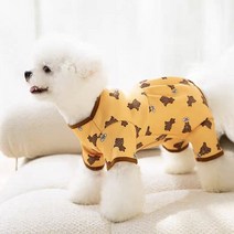 코코스튜디오 강아지옷 고양이옷 데일리 베어호박올인원, 오렌지