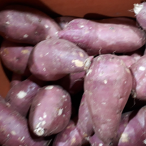 세척 꿀고구마 1kg