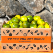 국내산 청정제주 명품 햇 서귀포 극조생 하우스 고당도 제철 감귤 유라 조생 유라 실생 밀감 3kg 5kg 10kg 소과 대과 한박스, 10KG(소과2S-S)