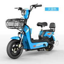 2인승 전동스쿠터 전기바이크 전기 미니 스쿠터, 블루-20A-95km