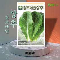 다농 청로메인 상추 씨앗 2000립 쌈채소 종자