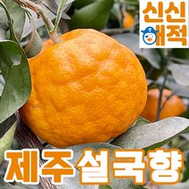 제주 고당도 설국향 수라향 신비향 신품종 아스미 3kg 5kg, 설국향 5kg(20-30과) [특가]