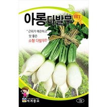 아롱다발무 씨앗 무우 종자 무씨 가을무 김장무 10g, 1개