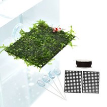 수초)삼각모스1컵과 부착형 활착판-DIY 어항장식, 단품