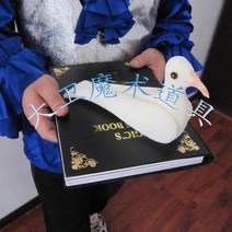 출장 마술사 봉 카드마술 소품 마술도구 매직 교육 재료 행사, 무료 화상 수업(비둘기 자체 준비), 가방에 불이 붙으면 비둘기가 나온다.