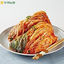 한국농협김치 부귀농협 마이산김치 포기김치 3kg 5kg 10kg 국내산재료100%청정진안고랭지배추