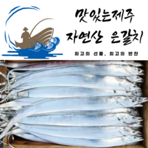 맛있는제주자연산 은갈치 왕 Size5지 13미, 왕 3마리(12토막)