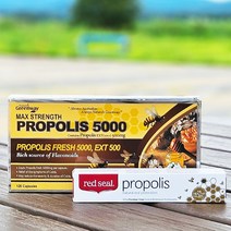 네이쳐스그린웨이 프로폴리스 5000 호주산 프로폴리스 원액 120캡슐 호주 프리미엄 고함량, 1개(13%할인), 1개, 120정