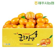 제주시농협 노지감귤 4.5kg 중대과 L-2L(실중량), 단품
