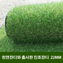 천연잔디와 흡사한 인조잔디 인조잔디매트 현관 바닥 인테리어 인공잔디 (2mx5m), 22mm(2mx5m)