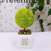 스칸디아모스 천연이끼나무 공기정화 주문제작, 04.빅큐브 에코트리-스프링그린