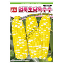 얼룩초당옥수수 씨앗 100립 알록당록 생식용 초당옥수수 종자 2182MR 아시아종묘, 01.얼룩초당100립