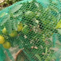 새 그물망 농작물 보호 그물 방조망 4x5m DD-11973