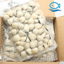 바다해 도매 냉동 백합조개 5KG 진공 백합 탕 파스타 봉골레, 단품
