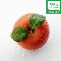 의성 하루에 한봉 꿀 세척 사과 2kg 3kg 5kg 산지직송, 중소과 세척사과 5kg/20-25입 내외