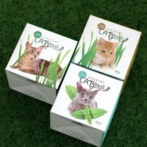 바보사랑 꿈쟁이 원형 저면관수화분 고양이 헤어볼 캣그라스 키우기 캣잎 밀 귀리.꿈쟁이, 상세설명 참조