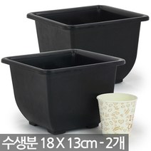 중형 플라스틱 사각 수생분 - 수생 화분 플분 수경식물 수생식물 수련화분 연화분 수생분지 수생화분, 01_한성_수생분(사각1호) X 2개