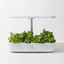 오늘식물 Air 식물재배기 수경재배기 가정용 스마트팜, 추가 없음