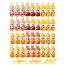 (빙그레)신선한 자연에서 갓따옴 상큼함 오렌지사과한라봉천혜향청귤애플망고납작복숭아백도자몽 프리미엄 냉장주스730mL X6입 멀티팩, 천혜향(6입)