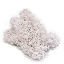 20g 인공 이끼 잔디 녹색 식물 마이크로 풍경 장식 미니 요정 정원 이끼 잔디 벽 diy 액세서리, b01